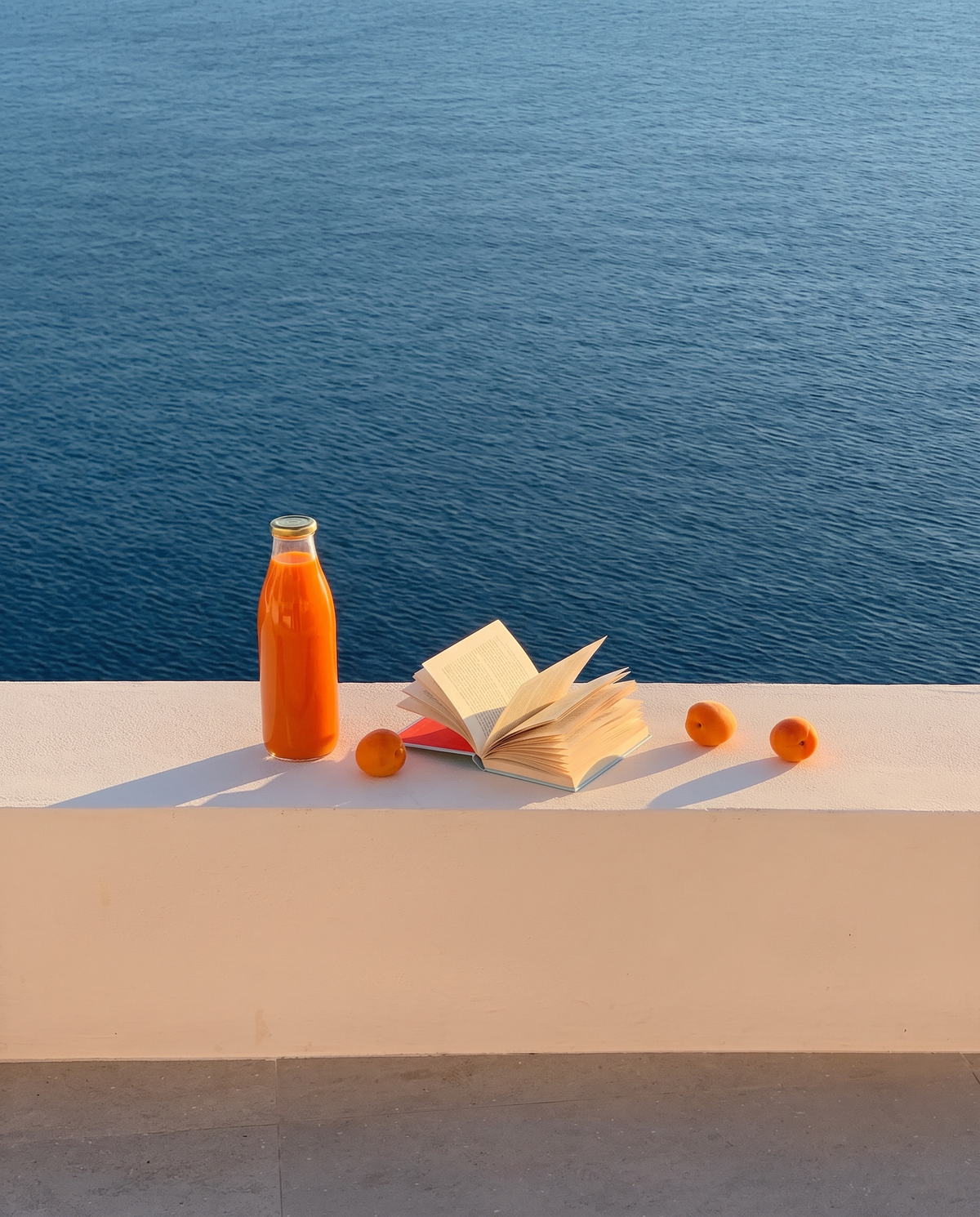 Bottle of orange juice, an open book and oranges on a stone ledge above the sea